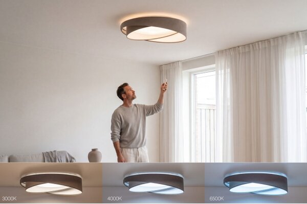 Димируем LED плафон SM. GALAXY M. LED/24W/230V Ø 55 см, сив/бял + дистанционно управление