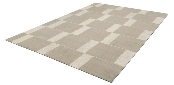 Сиво-бежов вълнен килим 160x240 cm Agnus Pavement – Agnella