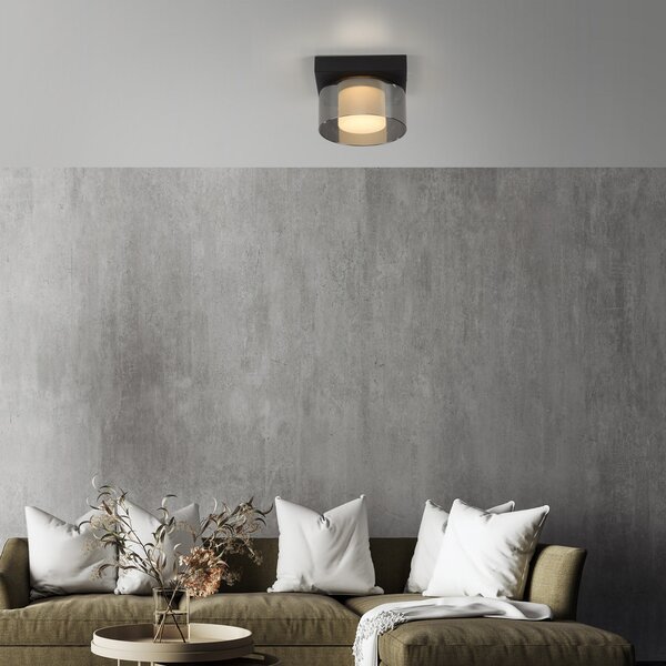 Paul Neuhaus LED лампа за таван Rika, Ø 15 cm, стъкло, с възможност димиране, Затъмняване, Черен, Дневна/трапезария, Стъкло, Модерен