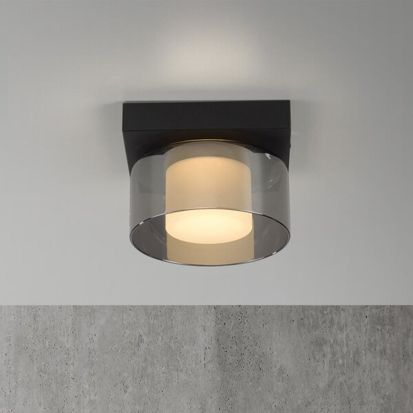 Paul Neuhaus LED лампа за таван Rika, Ø 15 cm, стъкло, с възможност димиране, Затъмняване, Черен, Дневна/трапезария, Стъкло, Модерен
