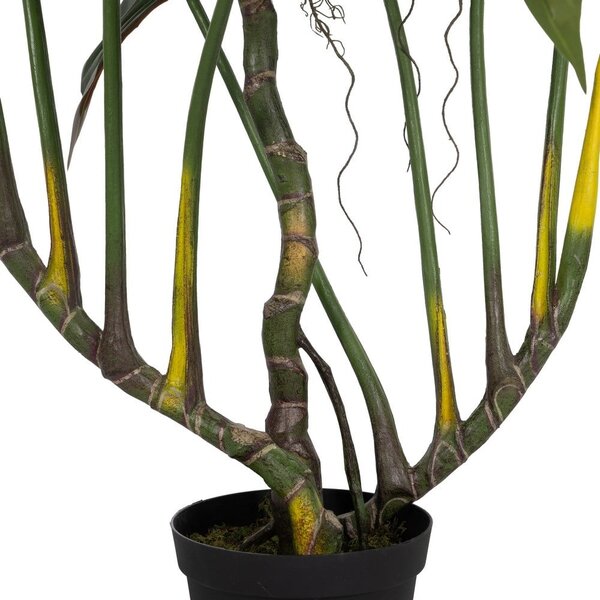 Изкуствено растение (височина 185 cm) Alocasia – Ixia