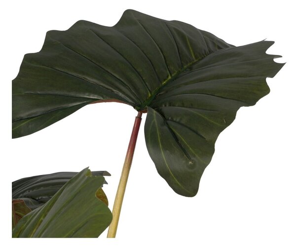 Изкуствено растение (височина 185 cm) Alocasia – Ixia