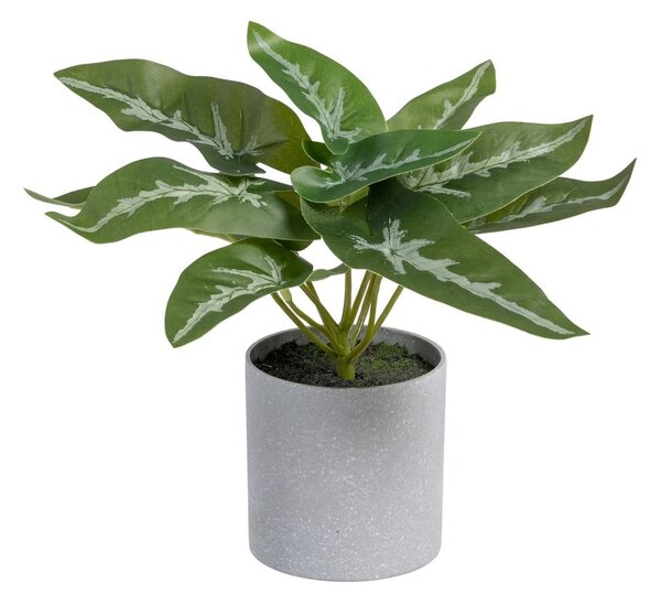 Изкуствено растение (височина 21 cm) Syngonium – Ixia