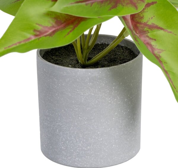 Изкуствено растение (височина 20 cm) Syngonium – Ixia