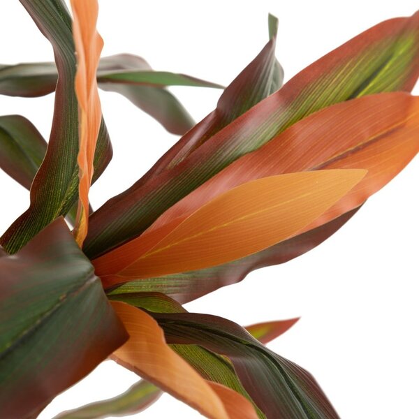 Изкуствено растение (височина 140 cm) Dracena – Ixia