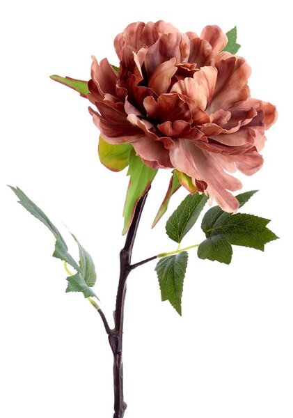 Изкуствено цвете (височина 65 cm) Peonia – Light & Living