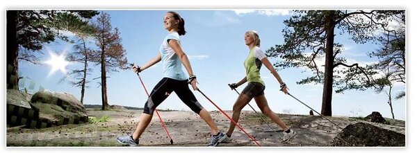 Скандинавско ходене щеки Flexifit