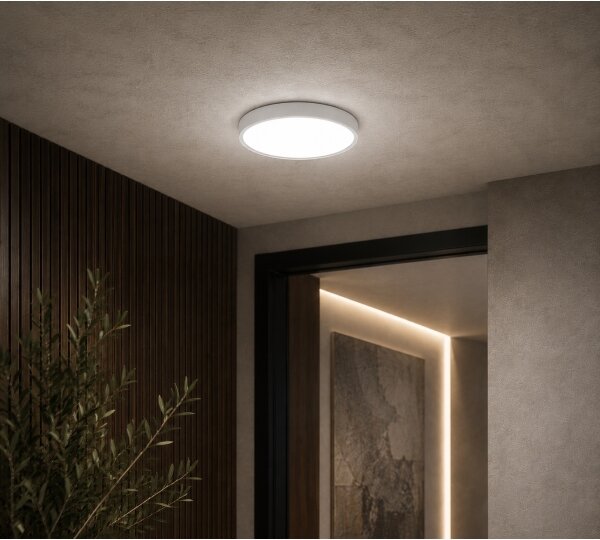 BRILAGI - LED таванно осветително тяло за баня ZENNA LED/12W/230V Ø 25 см IP44 бяло