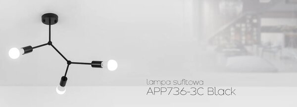 Плафон LOFT APP736-3C Black