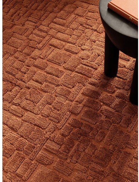 Теракотен килим 200x290 cm – Asiatic Carpets