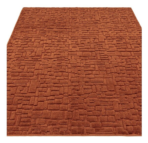 Теракотен килим 200x290 cm – Asiatic Carpets