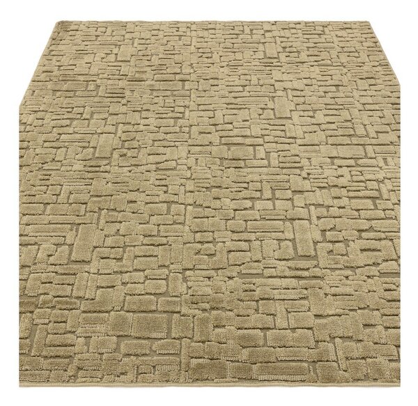 Зелен килим 160x230 cm – Asiatic Carpets