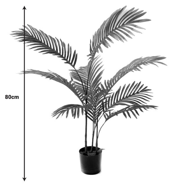 Декоративно градинско растение Areca Pako Pako World Black 80x80x8080 cm