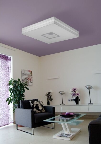 Palnas 61000626 - LED Лампа за таван PETY 800 LED/100W/230V