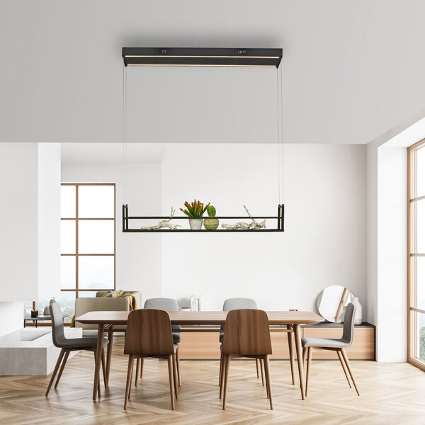 JUST LIGHT. GmbH LED висяща лампа Sontura, черна, от желязо, подходяща за декорация на рафт, Черен, Дневна/трапезария, Метал, Модерен