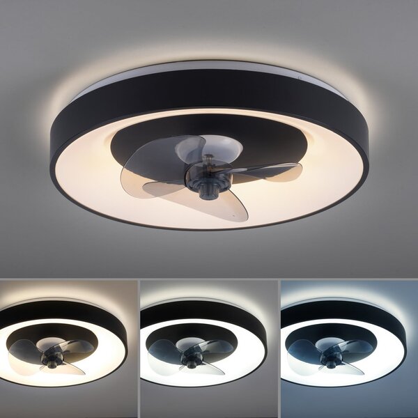 JUST LIGHT. GmbH LED тавански вентилатор Venika, черен CCT, с дистанционно управление, Ø 48,6 см, Затъмняване, Черен, Дневна/трапезария, Метал, Модерен