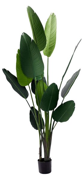 Декоративно растение палма в саксия green pp h180cm