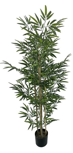 Декоративно растение бамбук в саксия green pp h150см