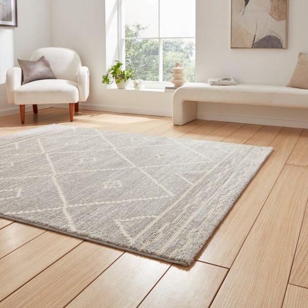 Светлосив килим 120x170 cm Geneva – Think Rugs