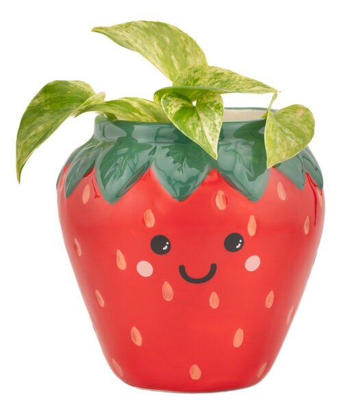 Керамично покритие за кашпа ø 10 cm Strawberry – Sass & Belle