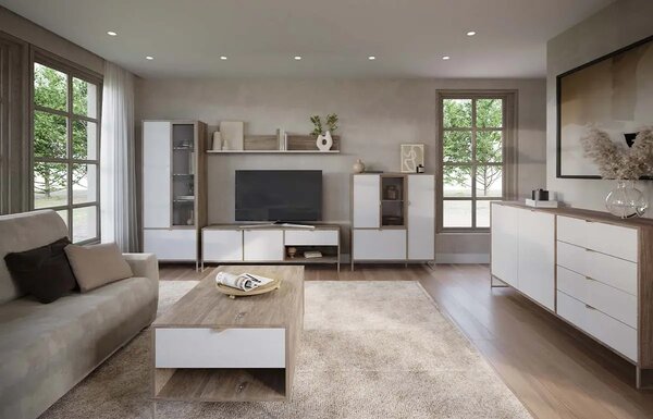 Шкаф Denver (pewtar halifax oak + white gloss)
