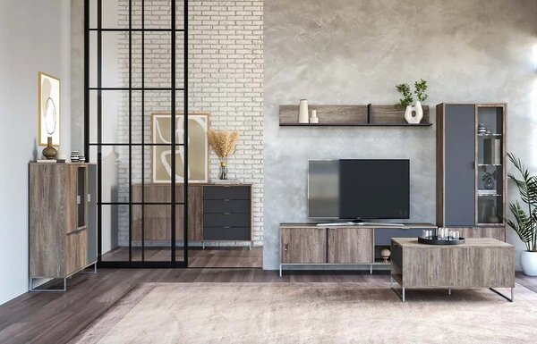 ТВ шкаф Denver (pewtar halifax oak + anthracite)
