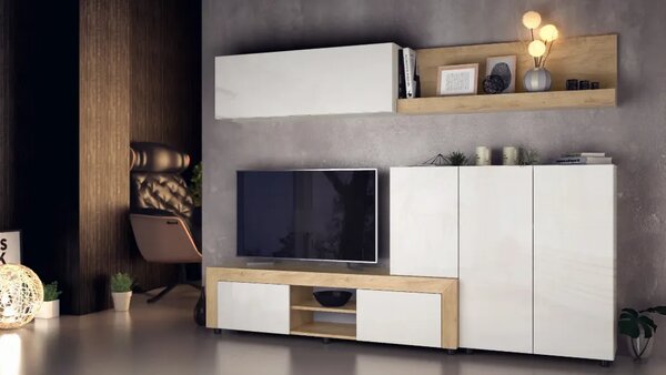 Секция Stela Plus