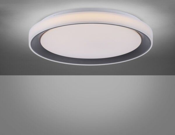 Leuchten Direkt 14659-18 - LED RGB Димируема лампа LOLA LED/24W/230V + д.у