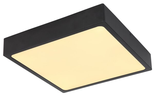Globo 12369-22 - LED Лампа за таван ECHO LED/22W/230V