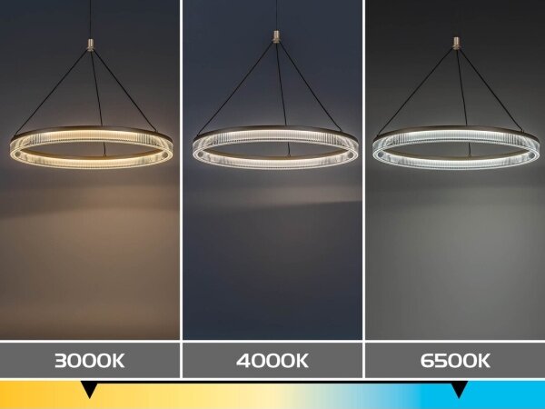 Rabalux 72471 - димируем LED полилей на кабел RIVONA LED/24W/230V 3000-6500K+дистанционно