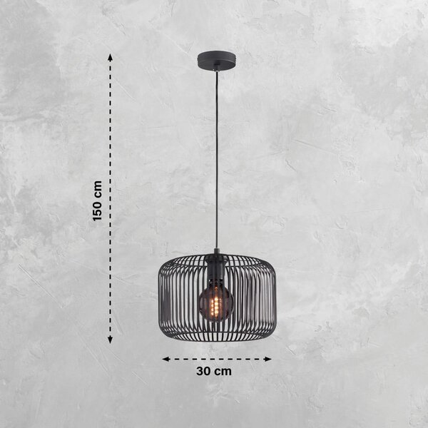 Черно висящо осветително тял с метален абажур ø 30 cm Cage – Fischer & Honsel