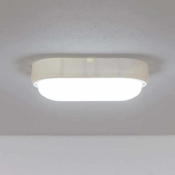Brilagi - LED Индустриална лампа SIMA LED/12W/230V IP65 бяла