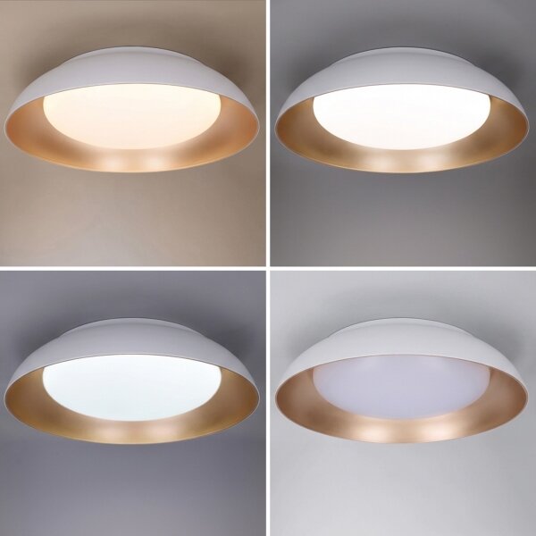 Brilagi - Димируемо LED осветително тяло ALVA LED/48W/230V 3000-6500K Ø 51 cm бяло + дистанционно управление