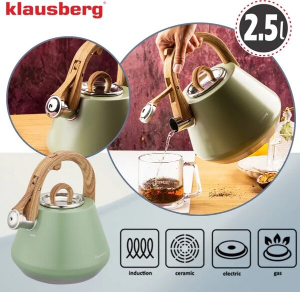 Свирещ чайник Klausberg KB 9062, 2.5 л, Неръждаема стомана, Ненагряваща се дръжка, Индукция, Зелен
