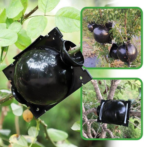 Кутии за вкореняване на растения Growball, 5× GrowBall (S)
