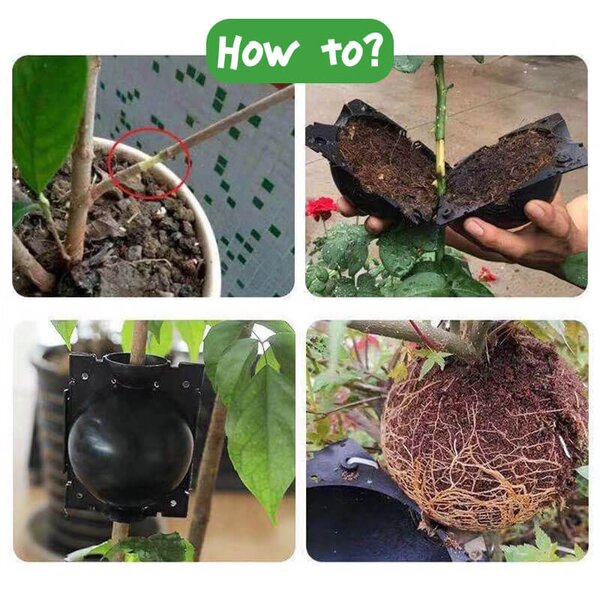 Кутии за вкореняване на растения Growball, 5× GrowBall (S)