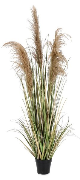 Изкуствено растение (височина 145 cm) Austorderia – Bizzotto