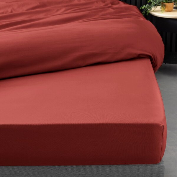 Еластичен чаршаф от памук перкал в тухлен цвят 90x190 cm Percaline – douceur d'intérieur