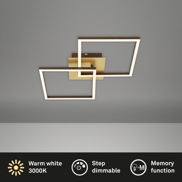 Briloner 3210-017 - LED Димируем плафон FRAME 2xLED/11W/230V златист