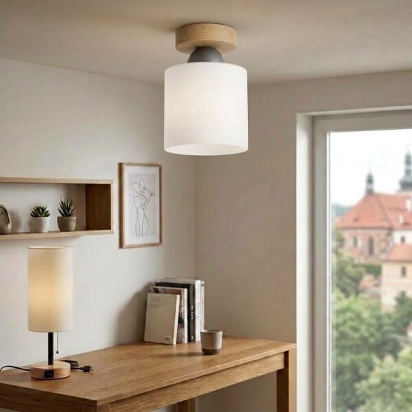 BRILAGI - LED таванно осветително тяло RETRO GLASS 1xE27/60W/230V Ø 10 см дъб/бял