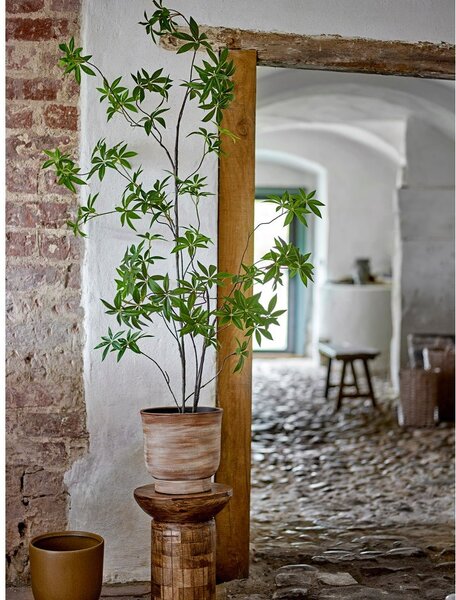 Изкуствено растение (височина 160 cm) Palmatum – Bloomingville