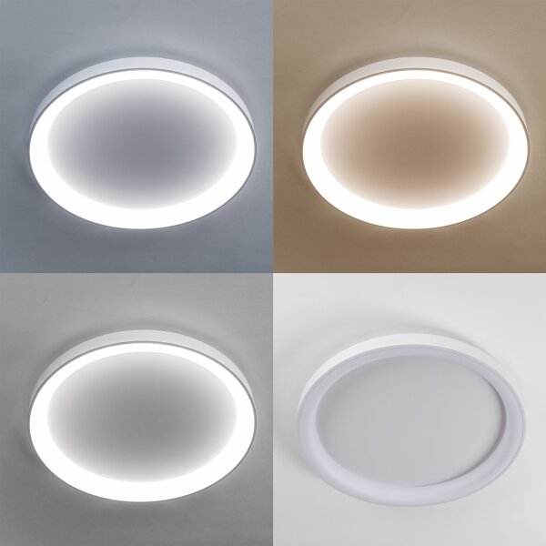 Brilagi - LED димируемо осветително тяло FALCON II LED/108W/230V 3000-6500K Ø 80 см бяло + дистанционно управление