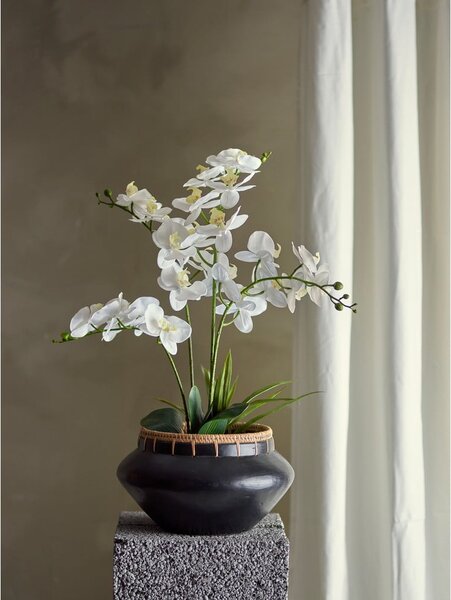 Изкуствено цвете (височина 84 cm) Orchid – Bloomingville