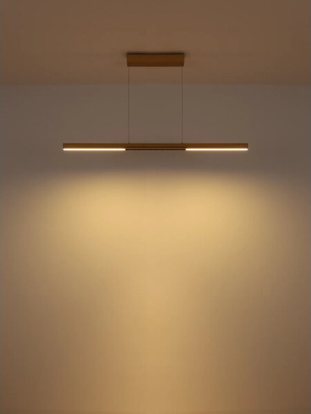 Globo 17018G - LED полилей на кабел CODY LED/24W/230V 3000K