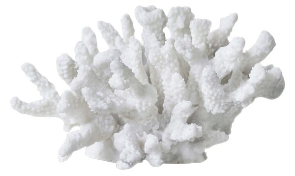 Статуя от полирезин (височина 10 cm) Coral – Mette Ditmer Denmark