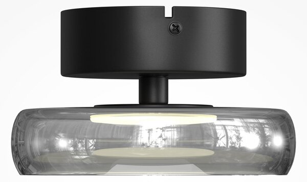 Maytoni LED таванна лампа FLOAT, сиво/черно, Ø 20 см, стъкло/метал, Затъмняване, Сив, Дневна/трапезария, Стъкло, Модерен