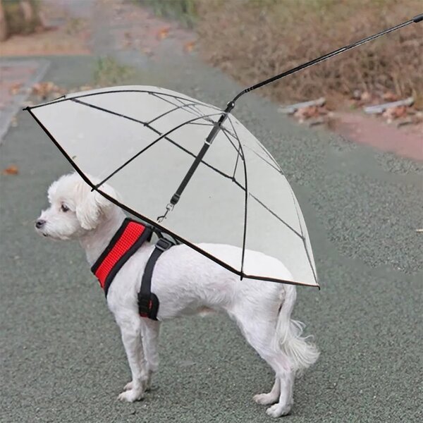Pawbrella™ регулируем чадър за поводи на кучета