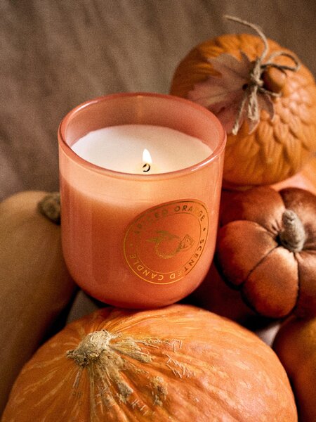Sinsay - Ароматна свещ Spiced Orange - мед