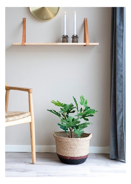Изкуствено растение (височина 60 cm) Fig – House Nordic