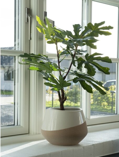 Изкуствено растение (височина 60 cm) Fig – House Nordic